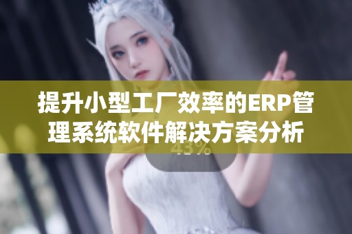 提升小型工厂效率的ERP管理系统软件解决方案分析