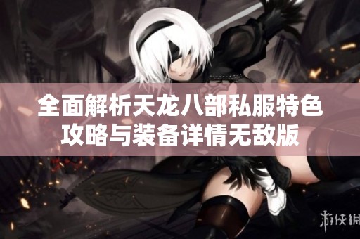 全面解析天龙八部私服特色攻略与装备详情无敌版