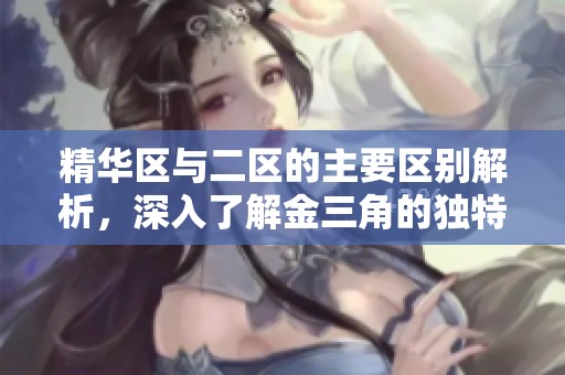精华区与二区的主要区别解析，深入了解金三角的独特之处与特点