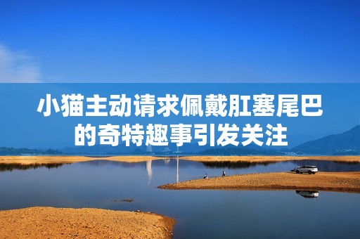 小猫主动请求佩戴肛塞尾巴的奇特趣事引发关注