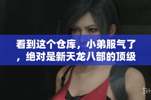 看到这个仓库，小弟服气了，绝对是新天龙八部的顶级装备！