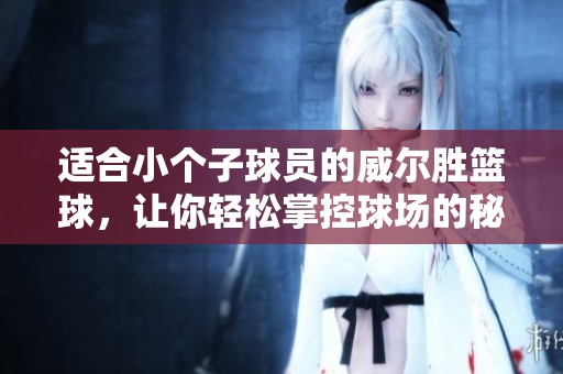 适合小个子球员的威尔胜篮球，让你轻松掌控球场的秘诀揭秘