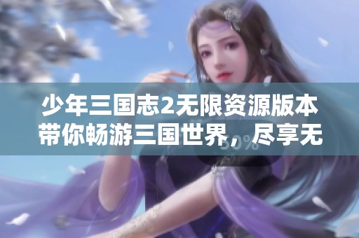 少年三国志2无限资源版本带你畅游三国世界，尽享无限乐趣