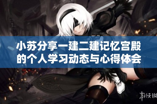 小苏分享一建二建记忆宫殿的个人学习动态与心得体会