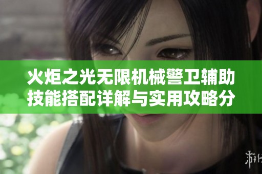 火炬之光无限机械警卫辅助技能搭配详解与实用攻略分享