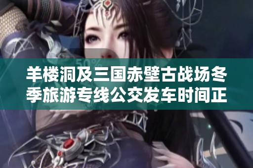 羊楼洞及三国赤壁古战场冬季旅游专线公交发车时间正式公布啦
