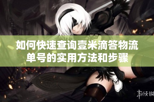 如何快速查询壹米滴答物流单号的实用方法和步骤