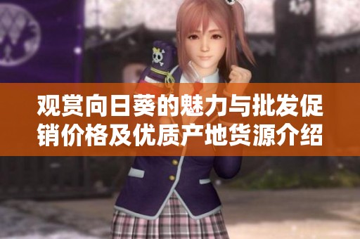 观赏向日葵的魅力与批发促销价格及优质产地货源介绍