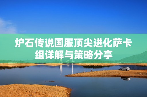 炉石传说国服顶尖进化萨卡组详解与策略分享