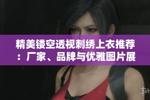 精美镂空透视刺绣上衣推荐：厂家、品牌与优雅图片展示