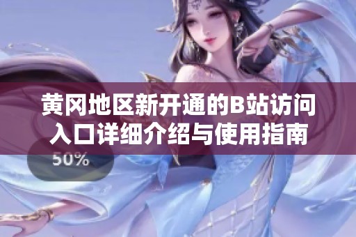 黄冈地区新开通的B站访问入口详细介绍与使用指南