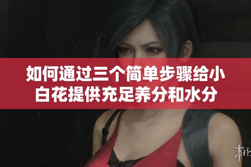 如何通过三个简单步骤给小白花提供充足养分和水分