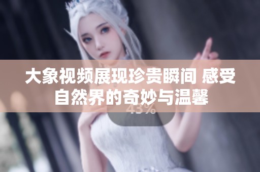 大象视频展现珍贵瞬间 感受自然界的奇妙与温馨