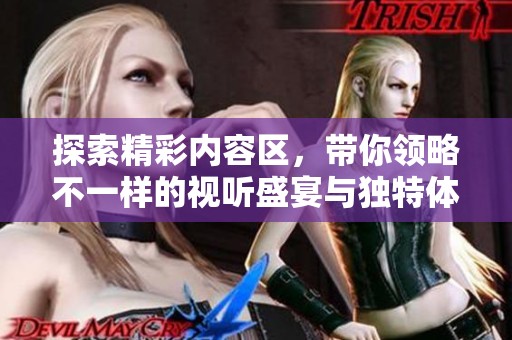 探索精彩内容区，带你领略不一样的视听盛宴与独特体验