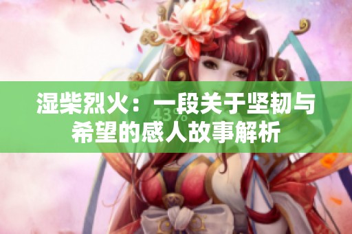 湿柴烈火：一段关于坚韧与希望的感人故事解析