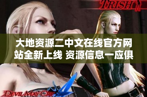 大地资源二中文在线官方网站全新上线 资源信息一应俱全
