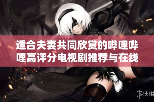 适合夫妻共同欣赏的哔哩哔哩高评分电视剧推荐与在线播放指南