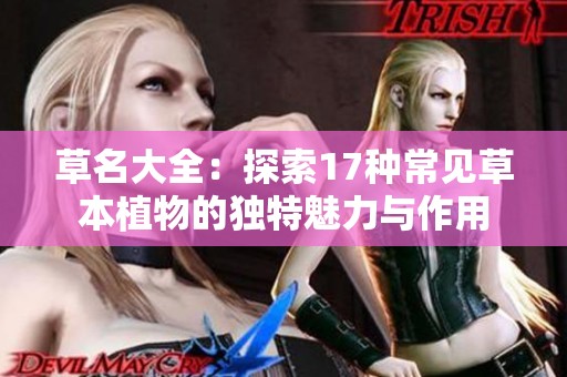 草名大全：探索17种常见草本植物的独特魅力与作用