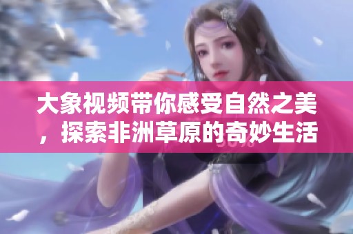 大象视频带你感受自然之美，探索非洲草原的奇妙生活