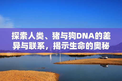 探索人类、猪与狗DNA的差异与联系，揭示生命的奥秘和进化之路