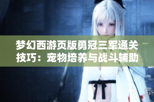 梦幻西游页版勇冠三军通关技巧：宠物培养与战斗辅助全攻略