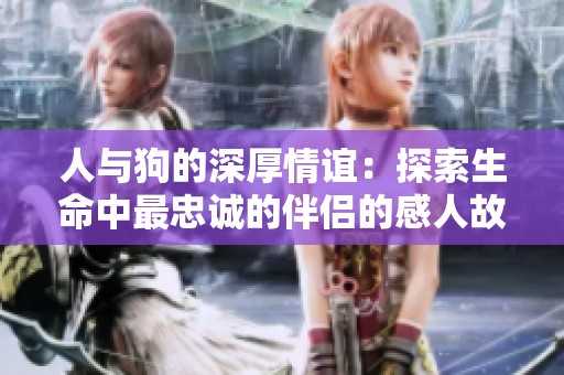 人与狗的深厚情谊：探索生命中最忠诚的伴侣的感人故事