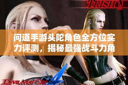 问道手游头陀角色全方位实力评测，揭秘最强战斗力角色分析