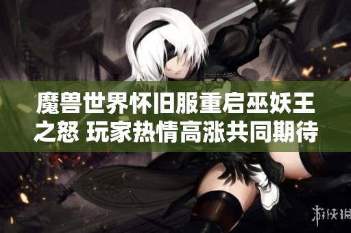 魔兽世界怀旧服重启巫妖王之怒 玩家热情高涨共同期待盛况