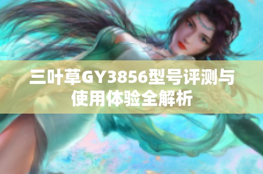 三叶草GY3856型号评测与使用体验全解析