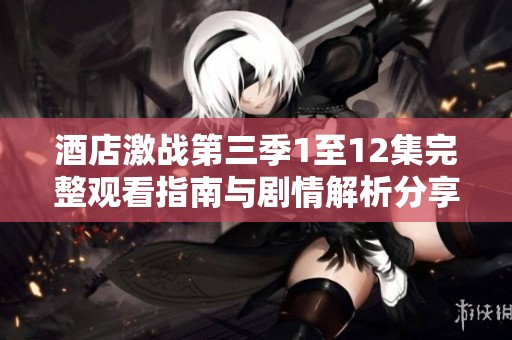 酒店激战第三季1至12集完整观看指南与剧情解析分享