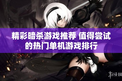 精彩暗杀游戏推荐 值得尝试的热门单机游戏排行