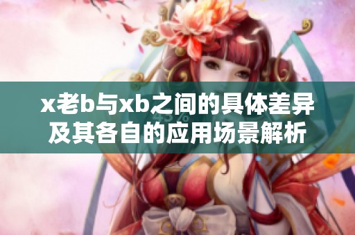 x老b与xb之间的具体差异及其各自的应用场景解析