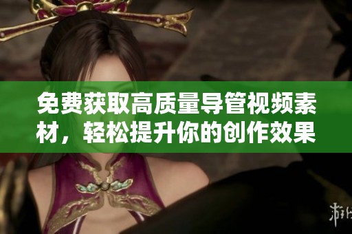 免费获取高质量导管视频素材，轻松提升你的创作效果与视觉体验