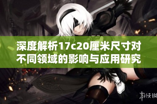 深度解析17c20厘米尺寸对不同领域的影响与应用研究