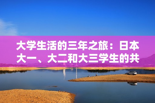 大学生活的三年之旅：日本大一、大二和大三学生的共同成长与探索