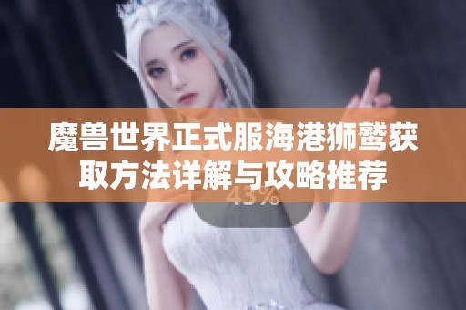 魔兽世界正式服海港狮鹫获取方法详解与攻略推荐