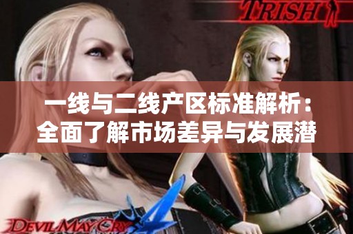 一线与二线产区标准解析：全面了解市场差异与发展潜力