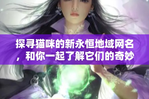 探寻猫咪的新永恒地域网名，和你一起了解它们的奇妙世界
