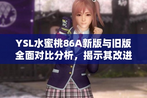YSL水蜜桃86A新版与旧版全面对比分析，揭示其改进与变化之处