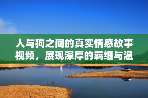 人与狗之间的真实情感故事视频，展现深厚的羁细与温馨时刻