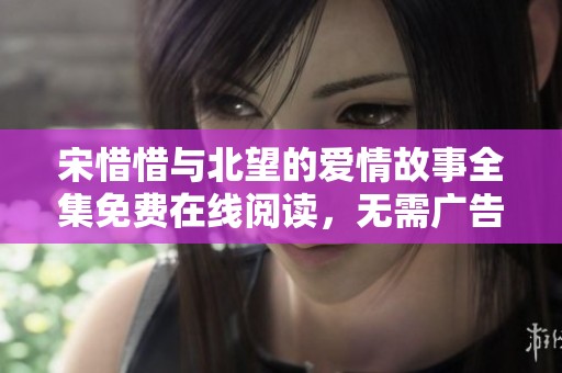 宋惜惜与北望的爱情故事全集免费在线阅读，无需广告干扰