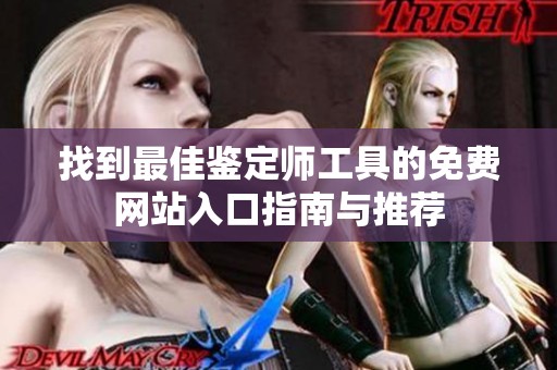 找到最佳鉴定师工具的免费网站入口指南与推荐