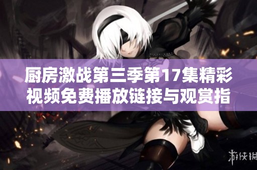 厨房激战第三季第17集精彩视频免费播放链接与观赏指南