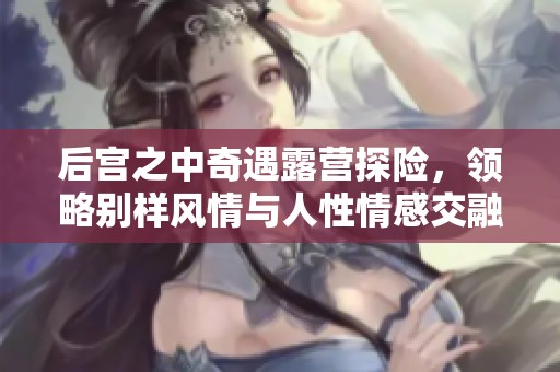后宫之中奇遇露营探险，领略别样风情与人性情感交融