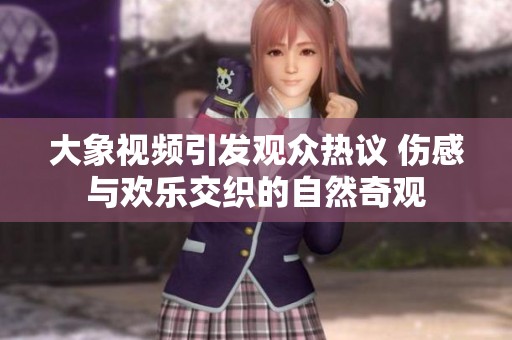 大象视频引发观众热议 伤感与欢乐交织的自然奇观