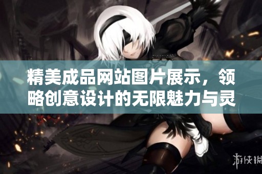 精美成品网站图片展示，领略创意设计的无限魅力与灵感
